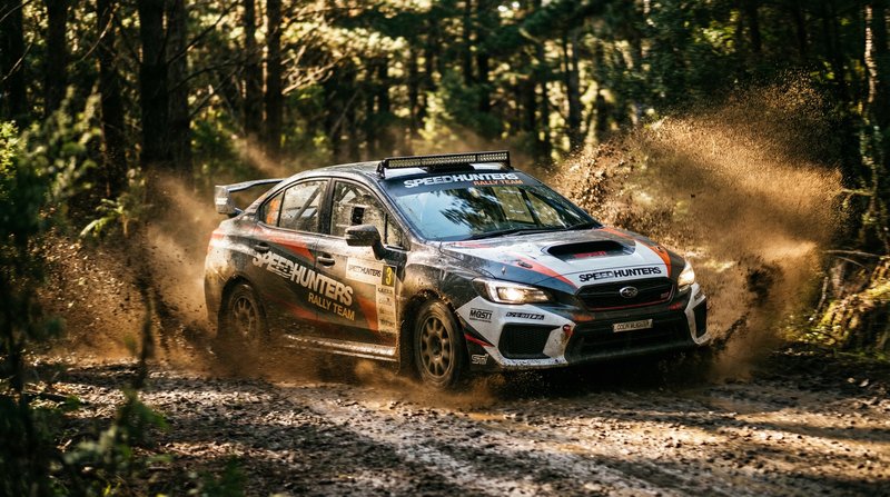 蜜芽拉力赛车视频